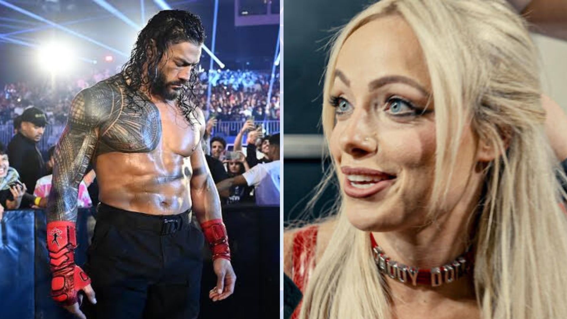 Some WWE stars could still end up on the Money in the Bank card [Credit: WWE.com]