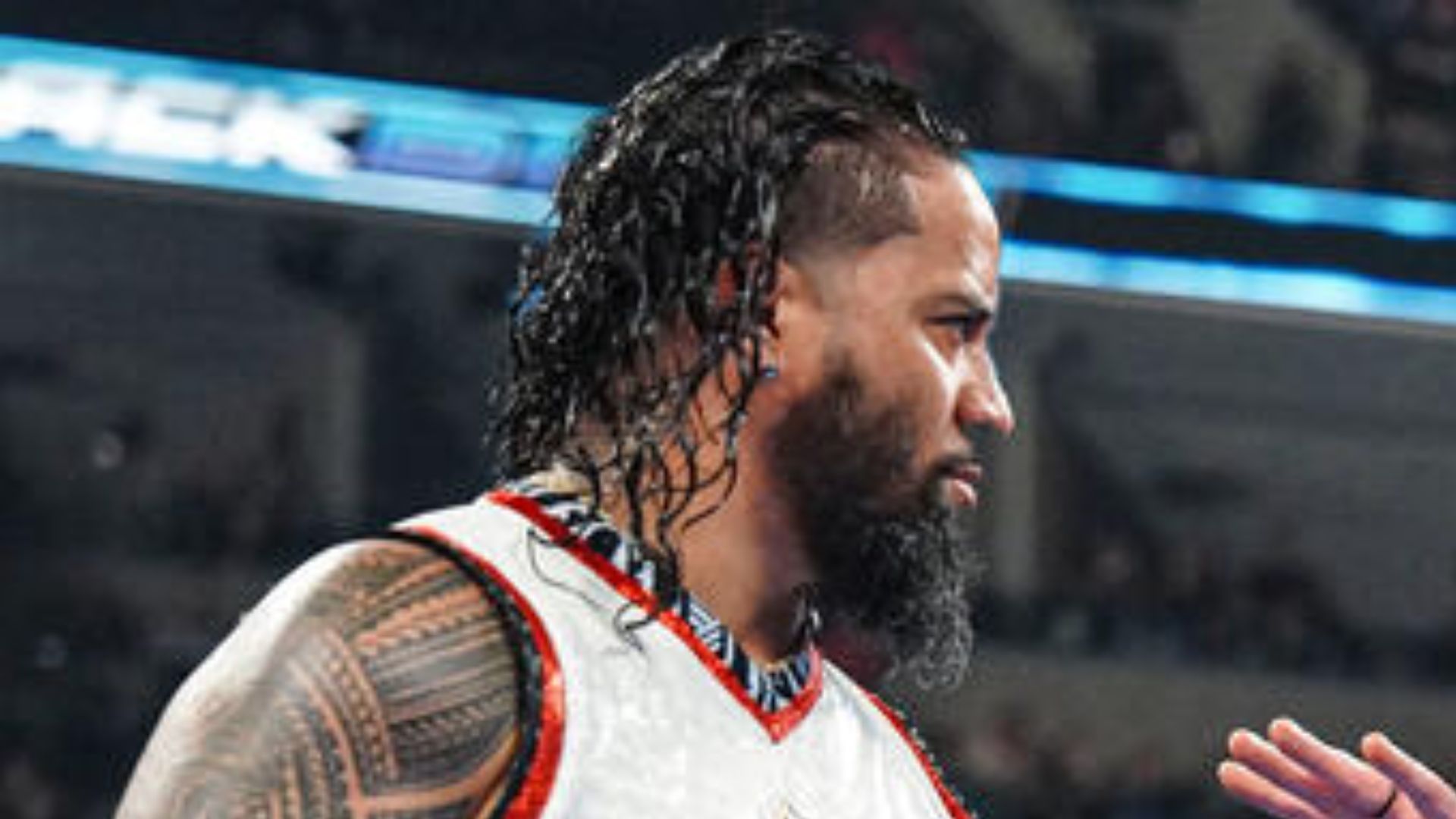 The star is back in the ring (Credit: WWE.com)