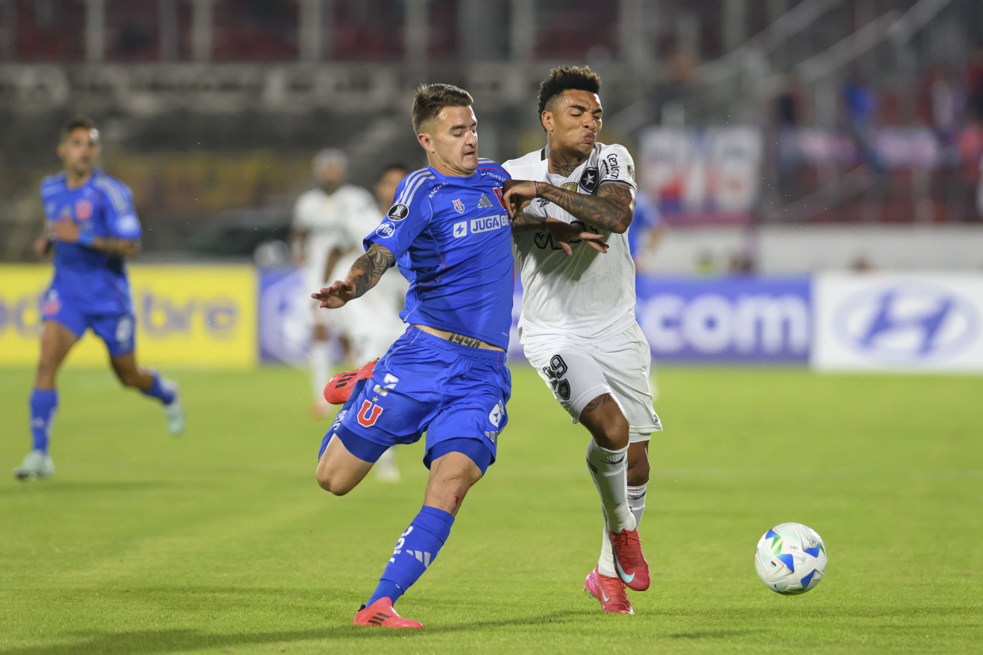 U De Chile v Botafogo - Copa CONMEBOL Libertadores 2025 - Source: Getty