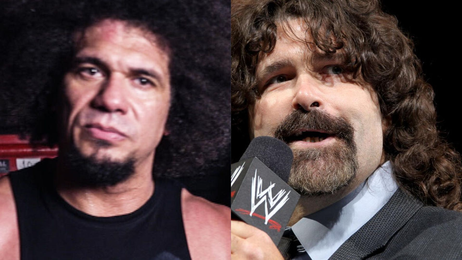 The stars have reacted (Credit: WWE.com)
