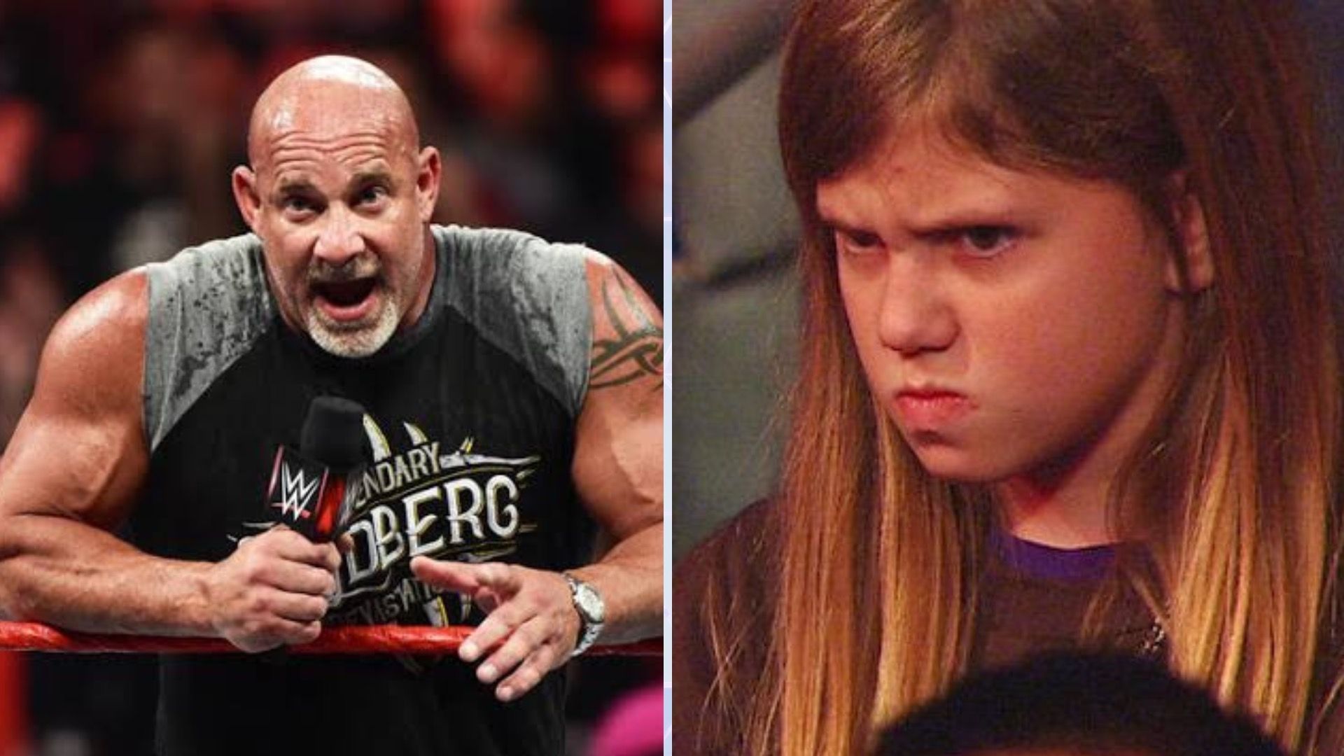 Goldberg could upset a lot of WWE fans by burying a top star [Credit: WWE.com]