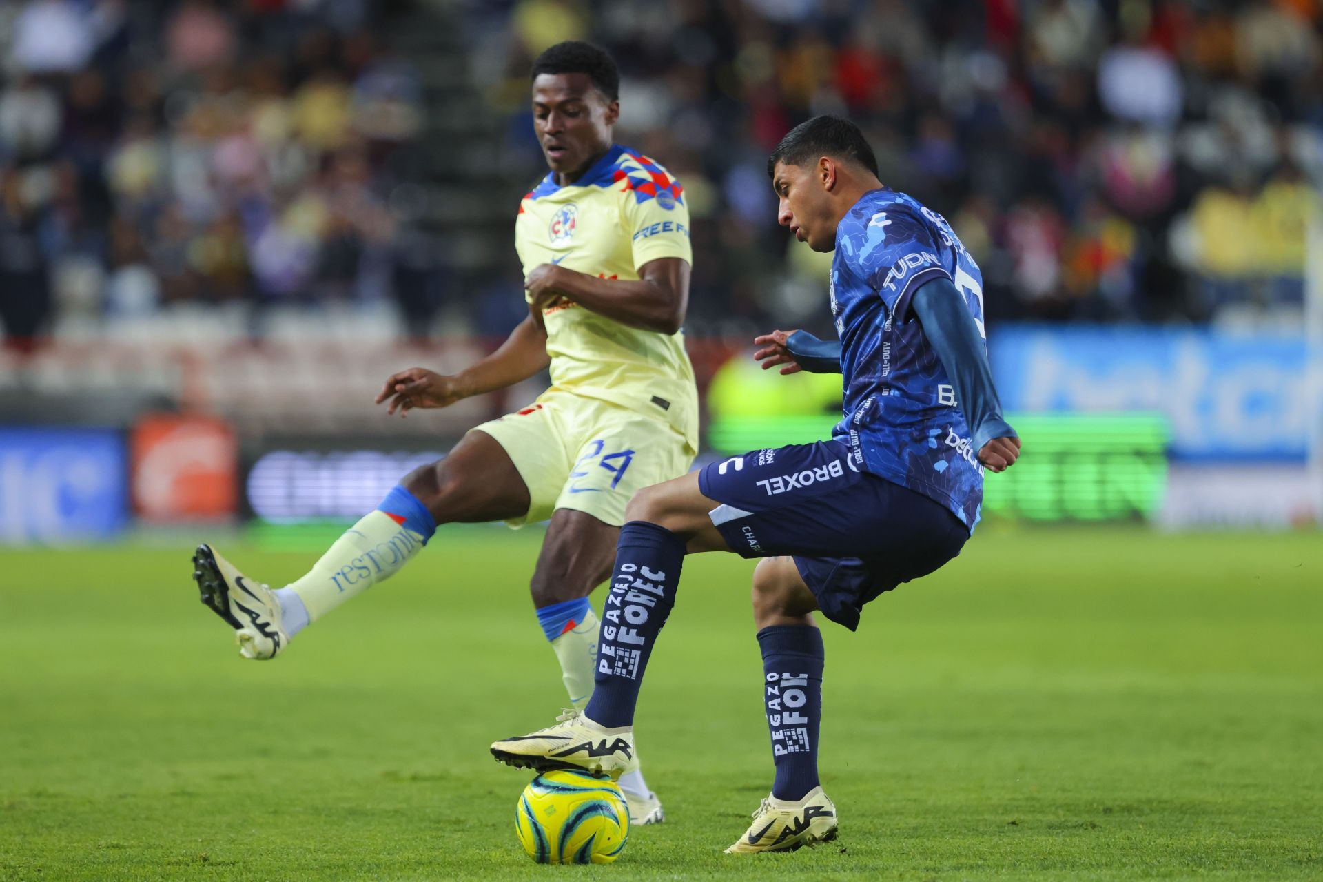 Pachuca v America - Torneo Clausura 2024 Liga MX - Source: Getty
