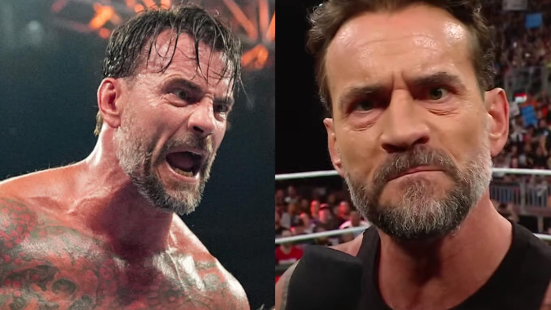 CM Punk