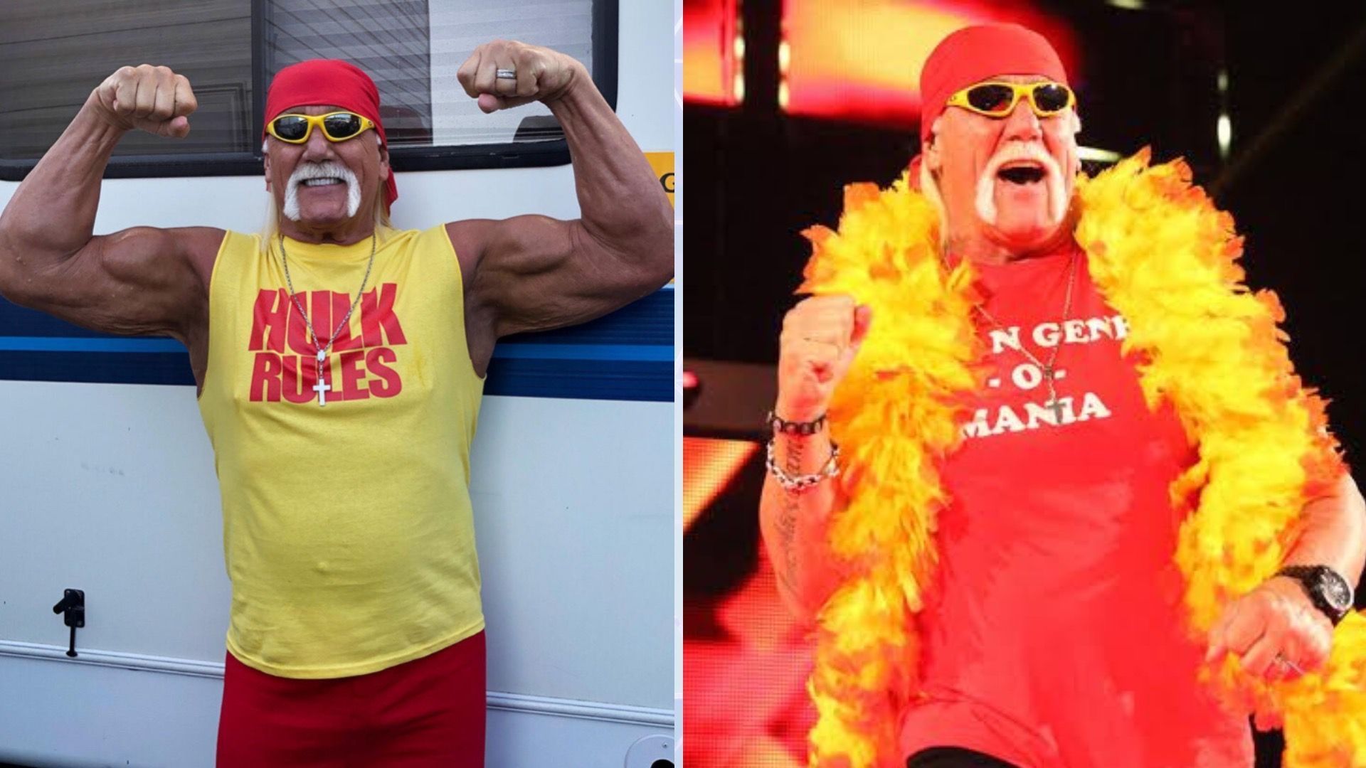 What is next for Hulk Hogan? (via WWE.com)