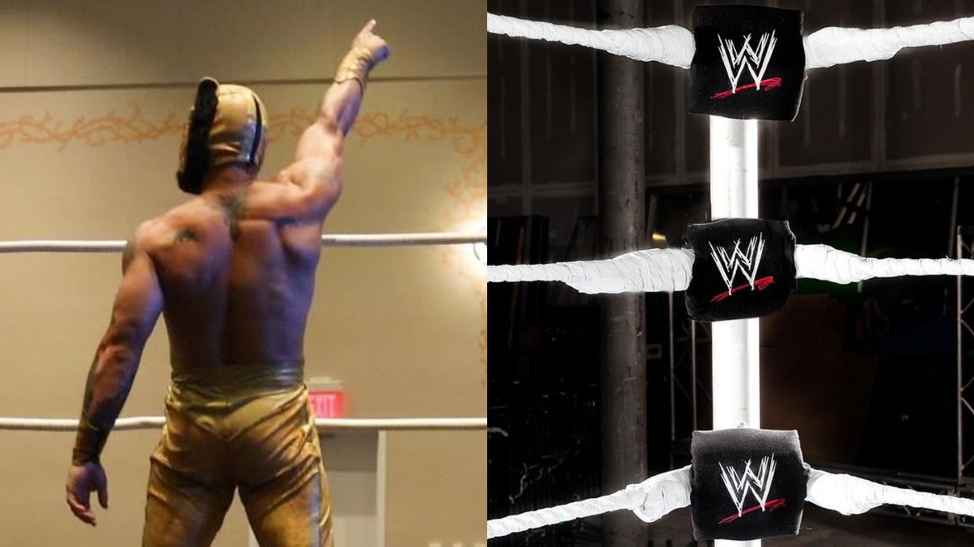 Former WWE champion set to return on television! [Image credits: WWE.com and star
