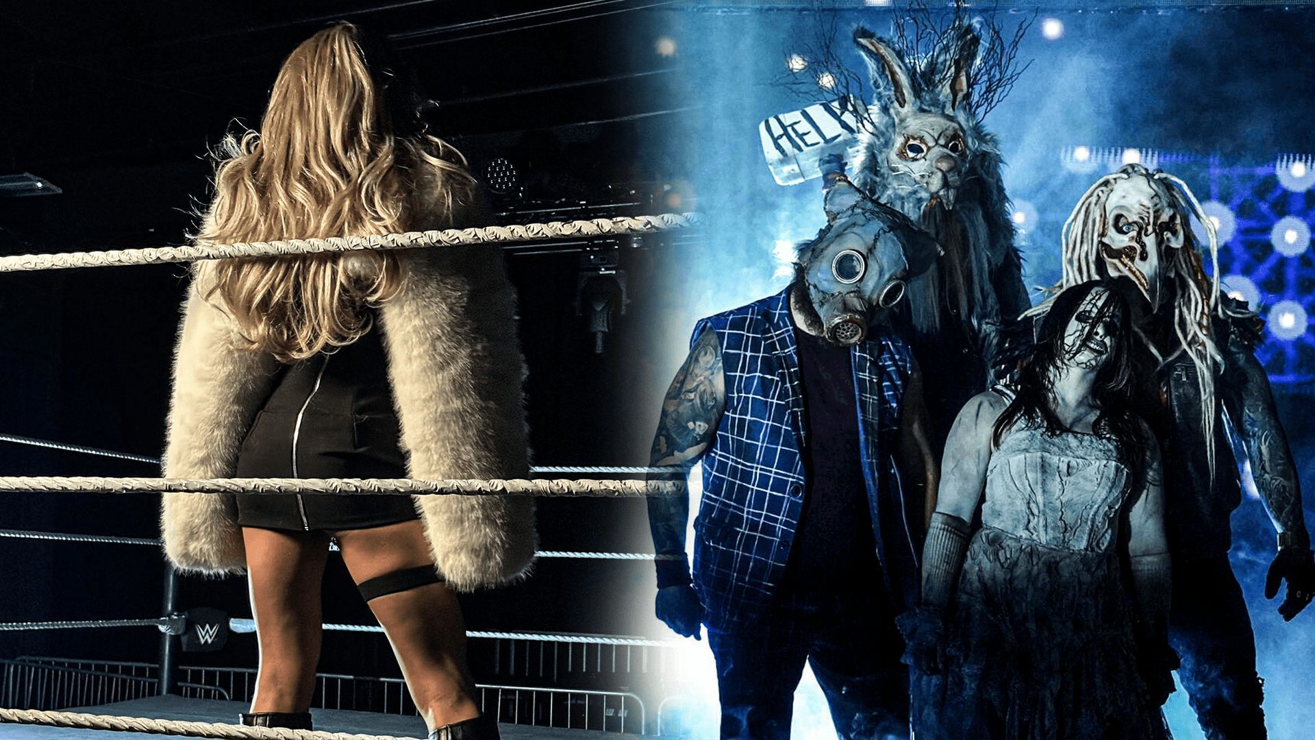The Wyatt Sicks is on SmackDown roster! (Credits: WWE.Com &amp; mystery female star
