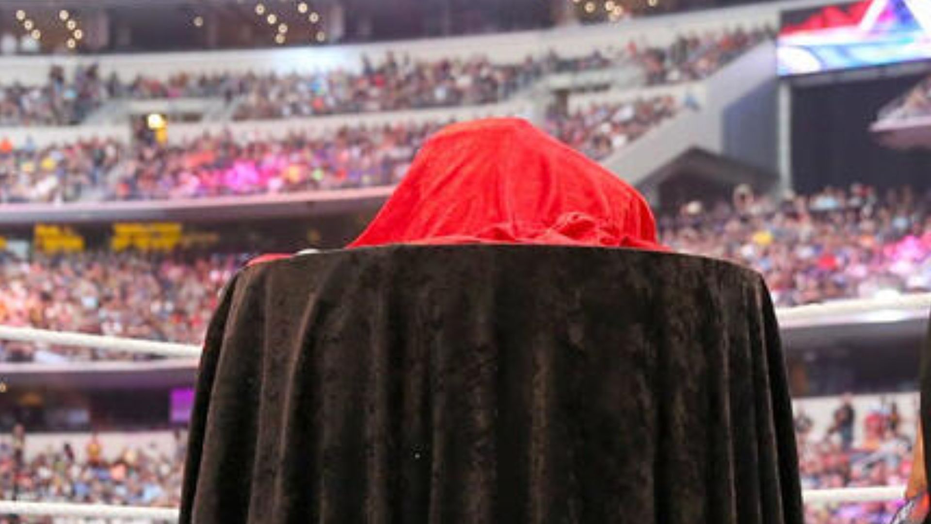 The titles have been introduced (Credit: WWE.com)