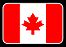 team-flag