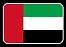 team-flag
