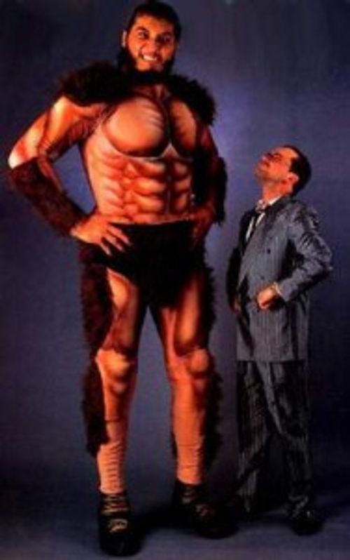 WWE tallest superstar  #2