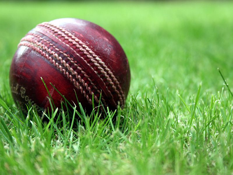 cricket_stock