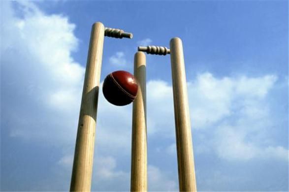 Cricket_stock2