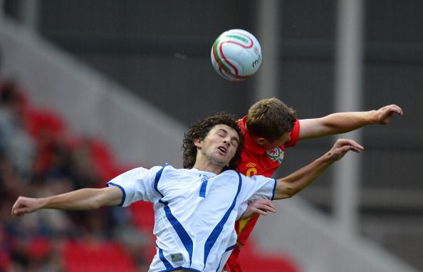 Miroslav Stevanovic (L) of Bosnia-Herzeg