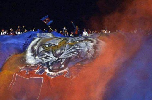 Supporters of Argentina&#039;s team Tigre cheer for their team in Tigre, Argentina, on November 22, 2012