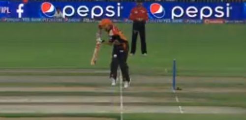 Warner LBW