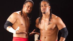 Results for 'WWE Superstars' held on 27/11/2014
