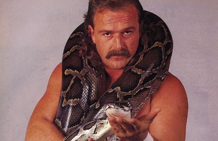 Jake Roberts