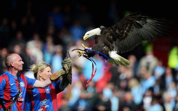 Crystal Palace Eagle