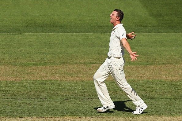Josh Hazlewood Test cricket