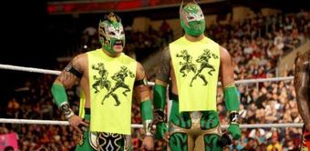 WWE News: High flyer comes unmasked during a match
