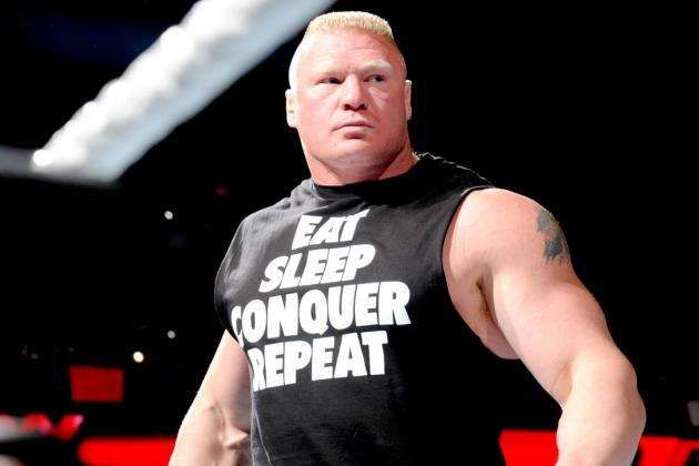 Image result for wwe lesnar