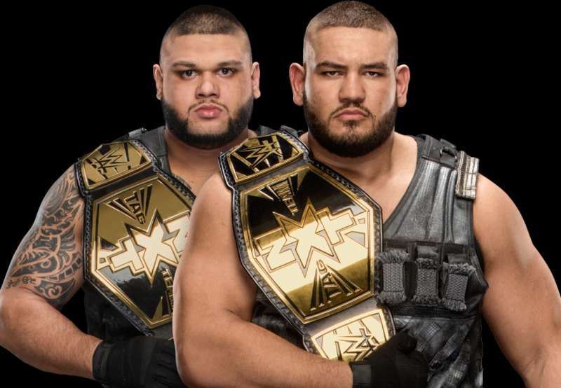 Image result for authors of pain sportskeeda