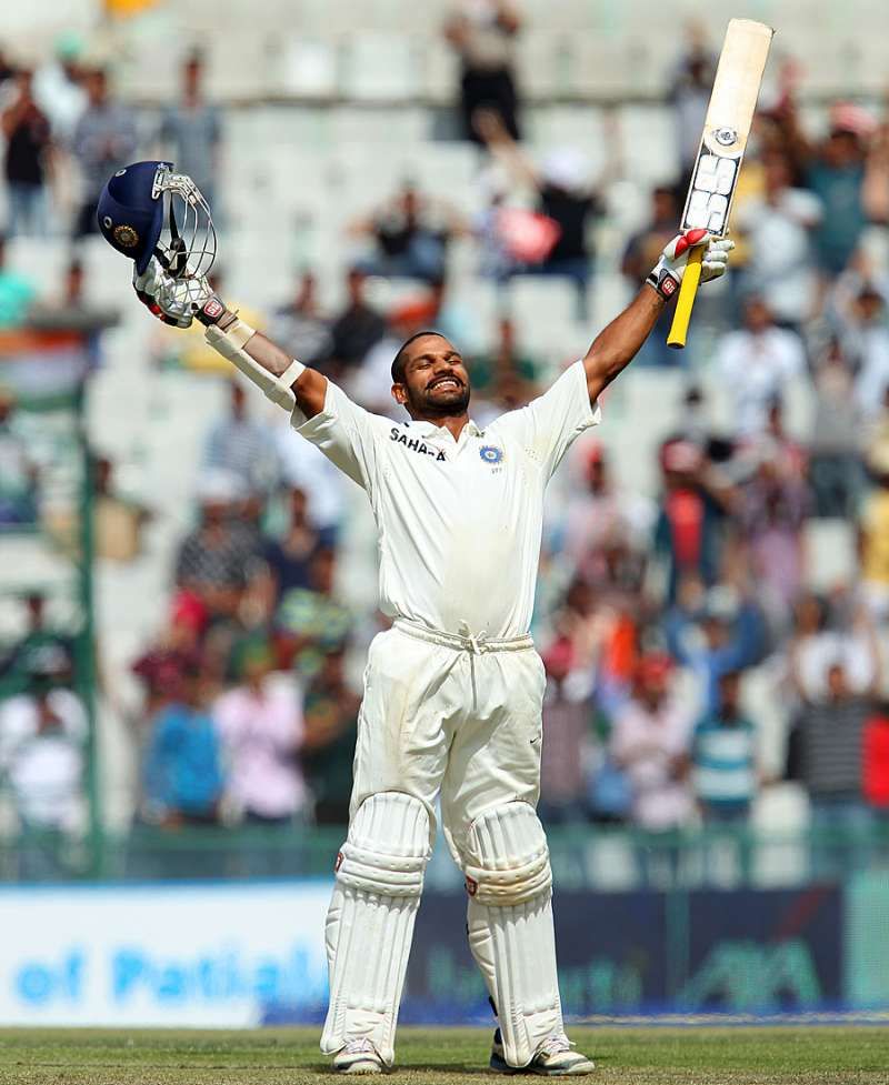 Shikhar Dhawan 2013