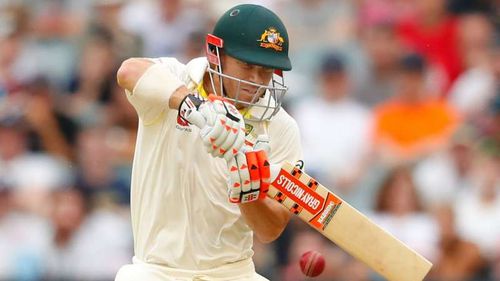 DavidWarner-cropped